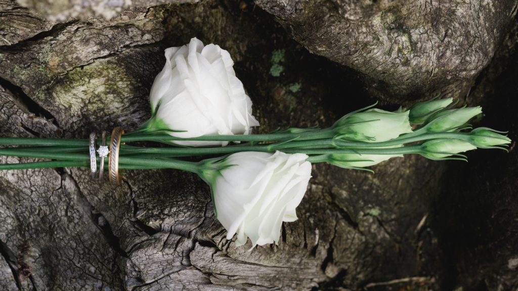 Devon Wedding photography: Victoria & Hassan’s Wedding (The Oak Barn, Hittisleigh, Devon)